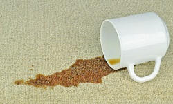 Profitable Carpet Cleaning Services in SW17